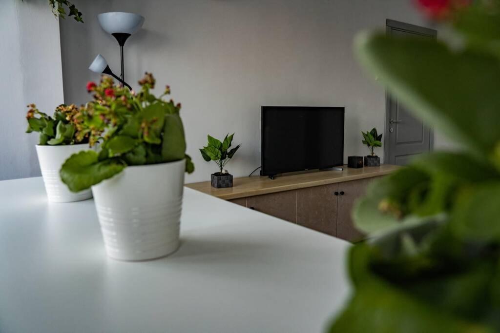 Modern 1 Bedroom Apartment In Bucharest Center! 外观 照片
